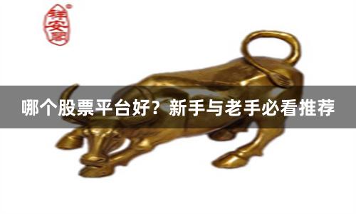 哪个股票平台好？新手与老手必看推荐